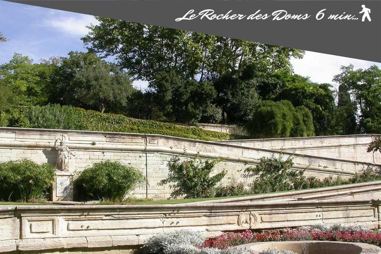 Le Chapeau Rouge Au Coeur Du Centre Historique Avignon Ngoại thất bức ảnh